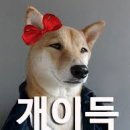 아산바른내과 이미지