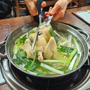 타닭 이미지