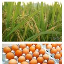 병서네 농장 이미지