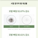 바이탈포뮬라