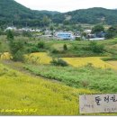 덕산가구마을 이미지