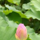 다산1리 이미지