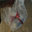 댕수성찬 이미지