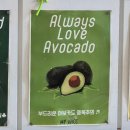 마이쥬스을지트윈