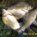 초정낚시터 이미지