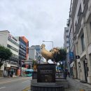 명동산골닭갈비 이미지