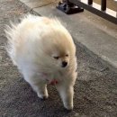 (주)안다미로24 | 다시 찾아온 바쁘다 바빠 지혜사회 (2026 첫번째 일상 하하)