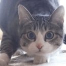 비티엘앤웰킨 이미지