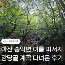 서봉지 화장실 벽화 | 아산 강당골계곡 아이와 물놀이 후기｜주차·화장실·수심·취사 여부