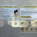 냥스테이 이미지