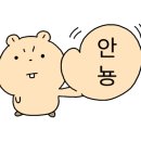 순천자동차검사소 이미지