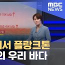 생선도 인공육으로 먹어야 되는 시대가 올지도... 이미지