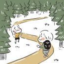 이가의안클린 이미지