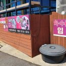 카카오 이미지