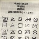 버치샵 티스토리