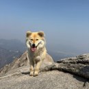 백운 119 안전센터 | 북한산 백운대 백운탐방지원센터 최단코스 - 초보자의 사족보행 등산 후기(소요시간)