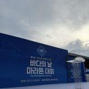 비상급수(중앙초등) | 2026 제31회 바다의날 마라톤 대회 후기(완주하면 멸치 주는 대회)