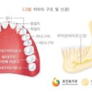 이재용치과 이미지