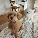 더이음정형외과의원 이미지