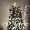150 | 루시아이 크리스마스 조명일체형트리 150 내돈내산 후기