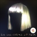 시아(SIA) 이미지