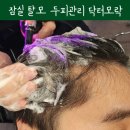 PH(피에이치 바이오) | 잠실 탈모 관리 여기에서 닥터모락 잠실점에서 받은 두피관리 시원해요
