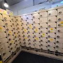 플러스24 | 잠실 만화카페 추천 카툰플러스 24시간 운영 방문후기