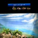 민물천국 이미지