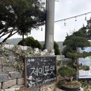 카페포렛 | 정읍 분위기 좋은 고즈넉한 카페 <제이포렛> 내돈내산 솔직 후기