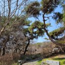 여산(순천) 이미지