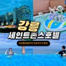 버블펫쌀롱 | 강릉 세인트존스호텔 인피니티풀 자쿠지 애견동반 수영장 이용후기