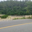 구산면726 이미지