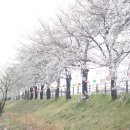 영신먹거리