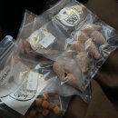 댕댕이꼬양 이미지