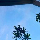 공원로-2 이미지