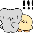 마티나로스팅커피머신 이미지