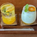 하귤 | 제주 숨도 카페 하귤 음료 귤림성 산책 후 쉬어가기 좋은 곳