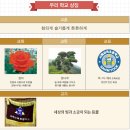 서해삼육초등학교 이미지