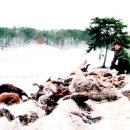 염소목장 이미지