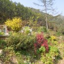 흙집풍경 이미지