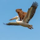 동일하모로220번길 | 가을일까? 가을이다!