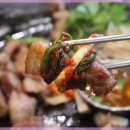 강짚탄 - 수원시 영통구 | 강짚탄