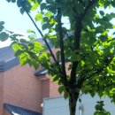 미소채움치과의원 이미지