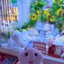 리버파크오락실 이미지