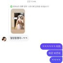 돌체경양식 | End, and