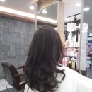 도모헤어 이미지