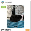 신영재동물병원 이미지