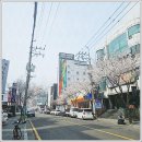 진심이 느껴지는 울산 쿨 박민아마사지 후기