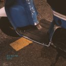 늙은 개 이미지