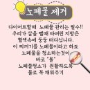 오드리물